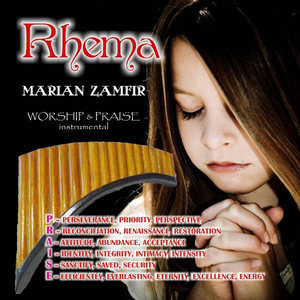 在线观看精品国产亚洲av
